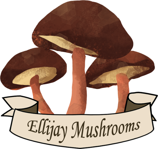 Ellijay Mushrooms